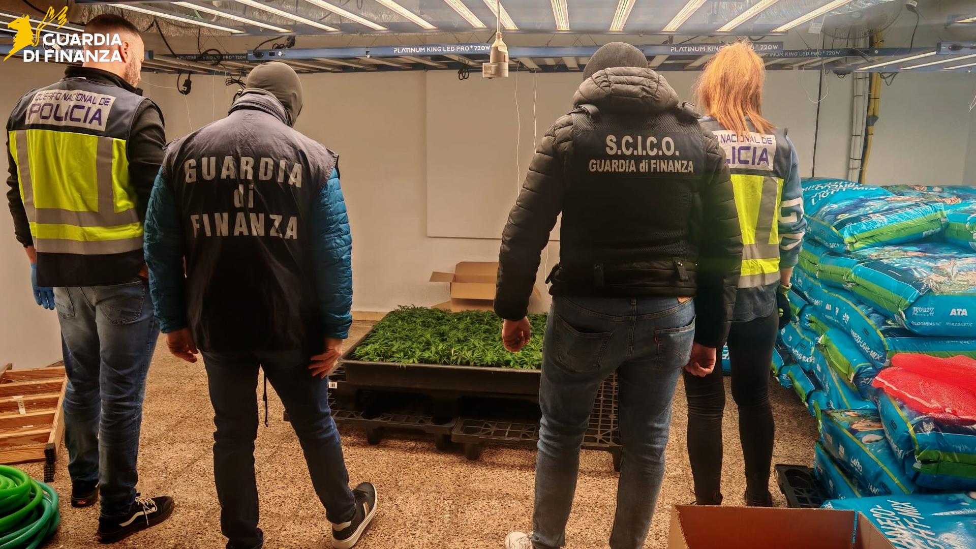 gdf polizia spagna droga