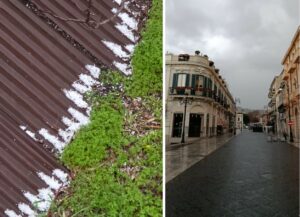 grandinata reggio calabria 4 febbraio 2026(14)