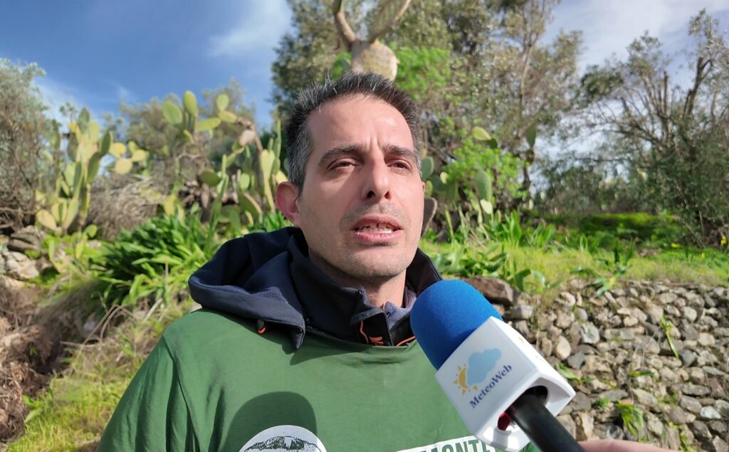 sebastiano cutrupi micologo
