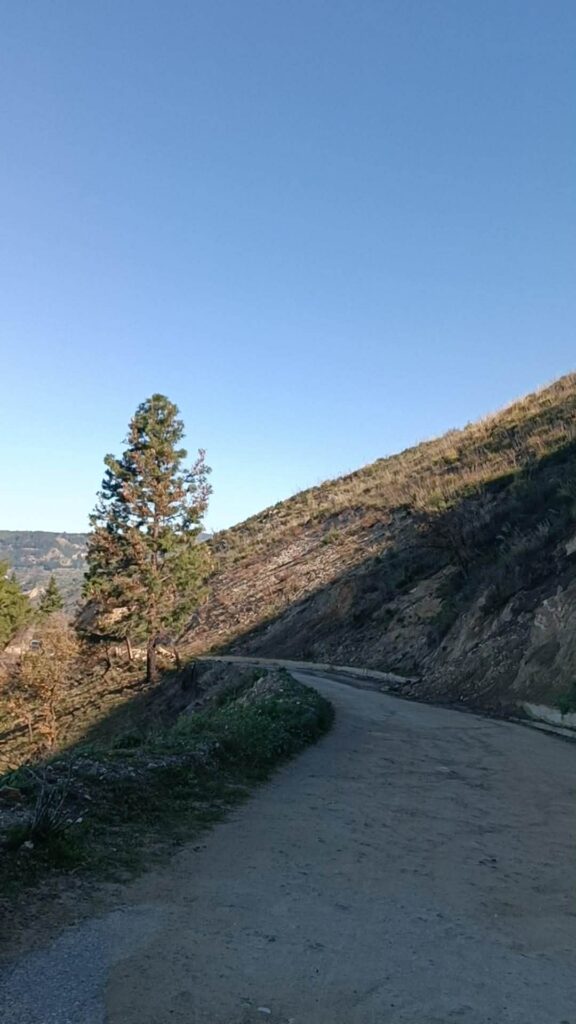 strada Santa Venere, Salice e Cardeto