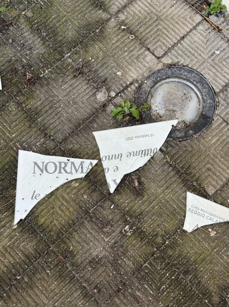 vandalizzata la targa dedicata a Norma Cossetto