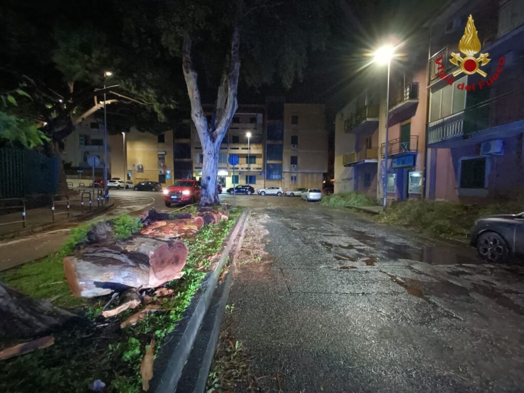 Vigili Fuoco Messina