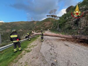 vigili fuoco messina