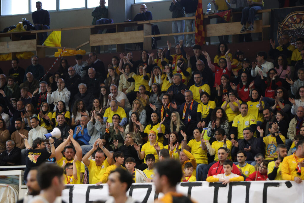 Basket School Messina-Viola
