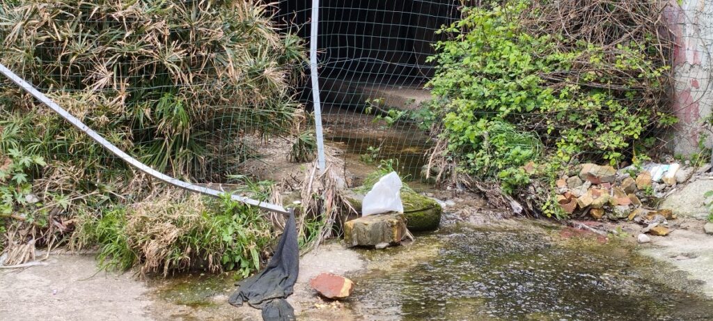 Degrado Villa San Giovanni