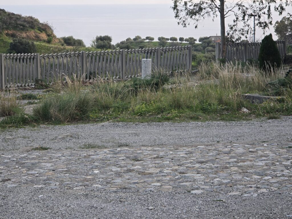 Masella incuria