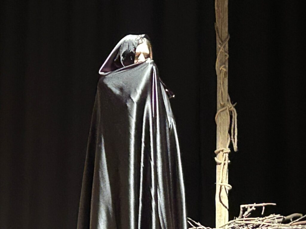 Streghe spettacolo