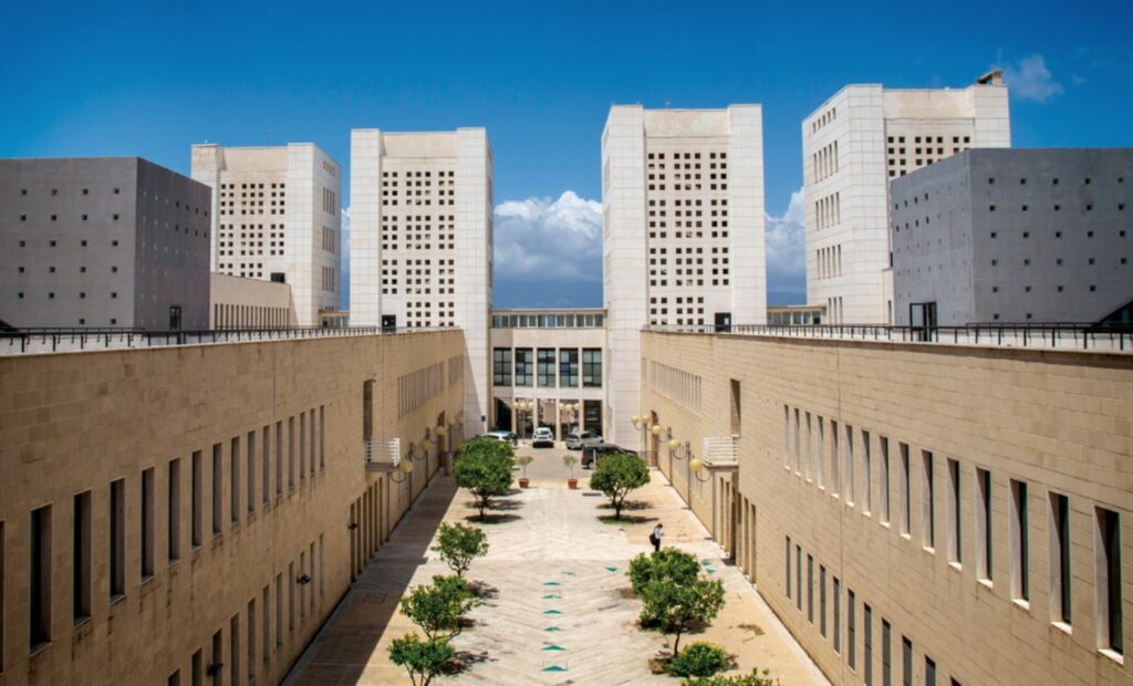 Università Mediterranea
