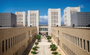 Università Mediterranea