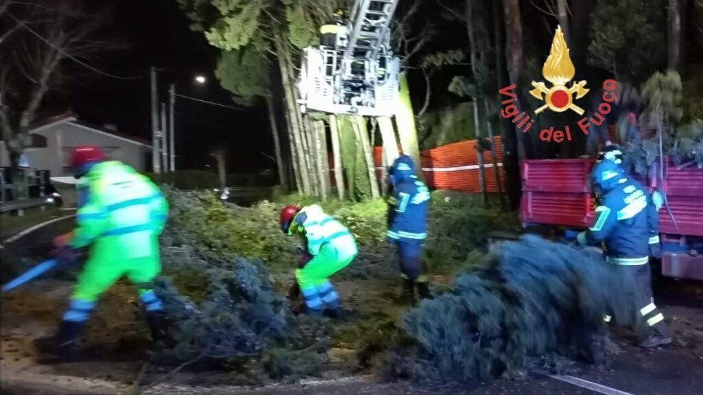alberi rischio crollo calabria