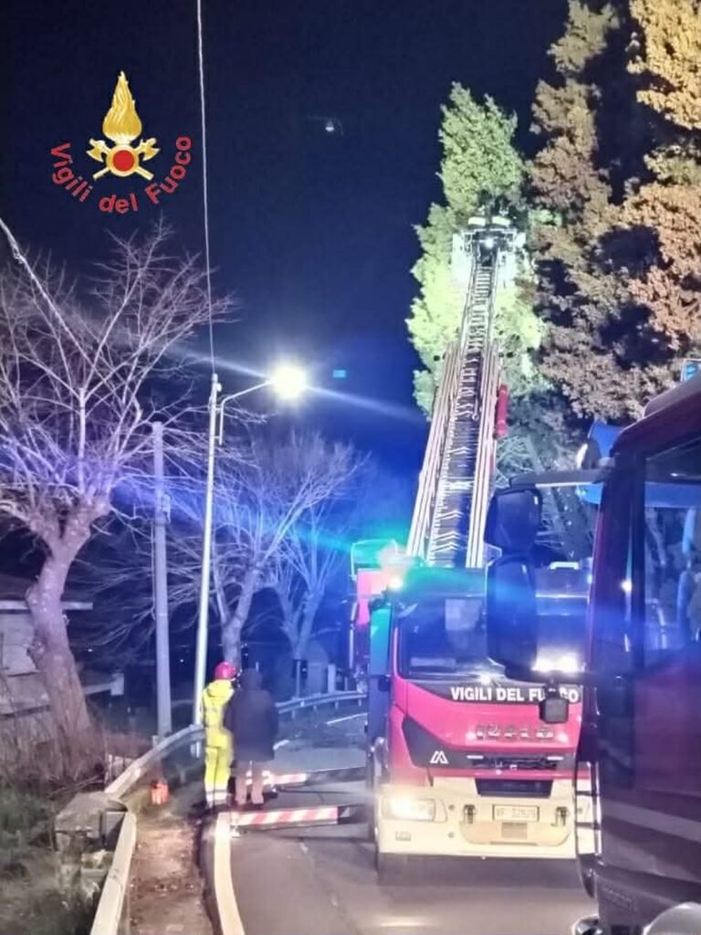 alberi rischio crollo calabria