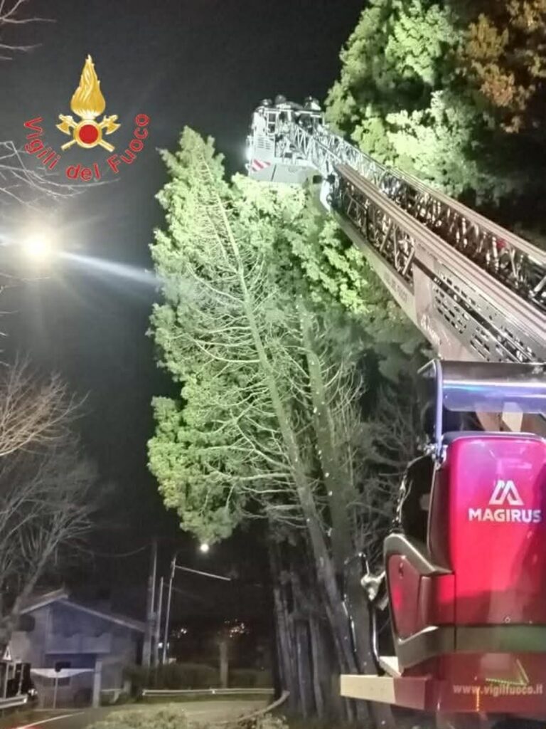 alberi rischio crollo calabria