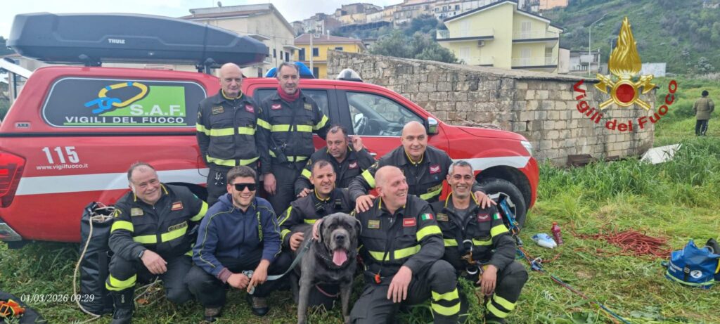cane corso recuperato