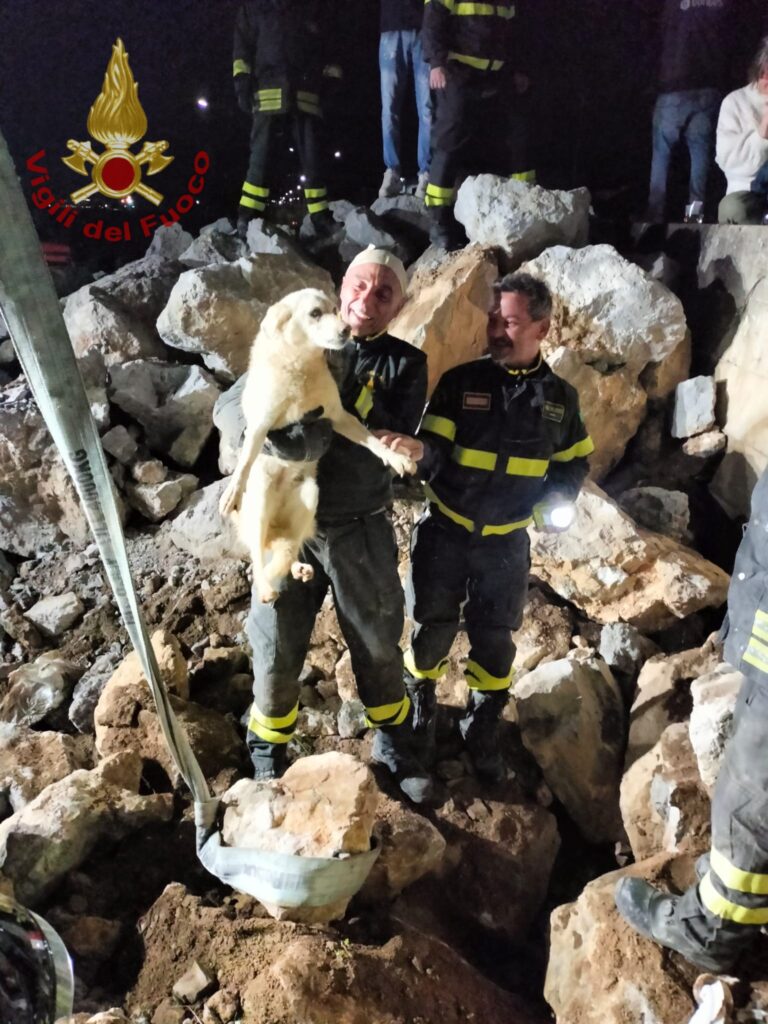 cane salvato calabria