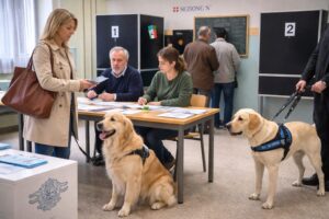 cani ai seggi elettorali