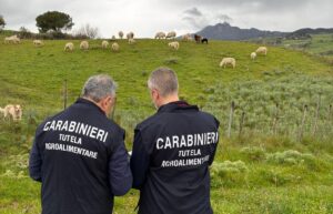 carabinieri tutela agroalimentare