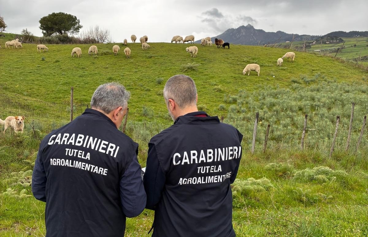 carabinieri tutela agroalimentare