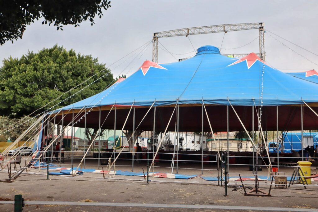 circo orfei