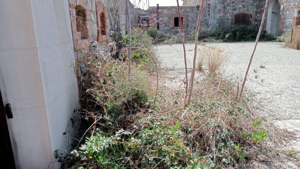 collina pentimele