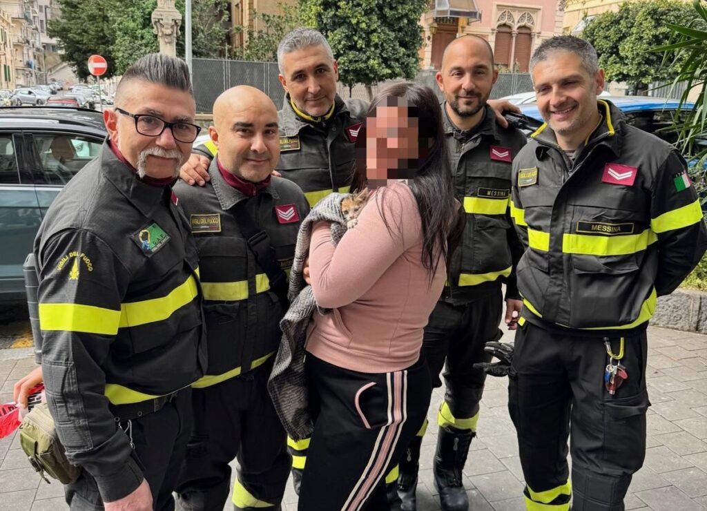 gattino salvato