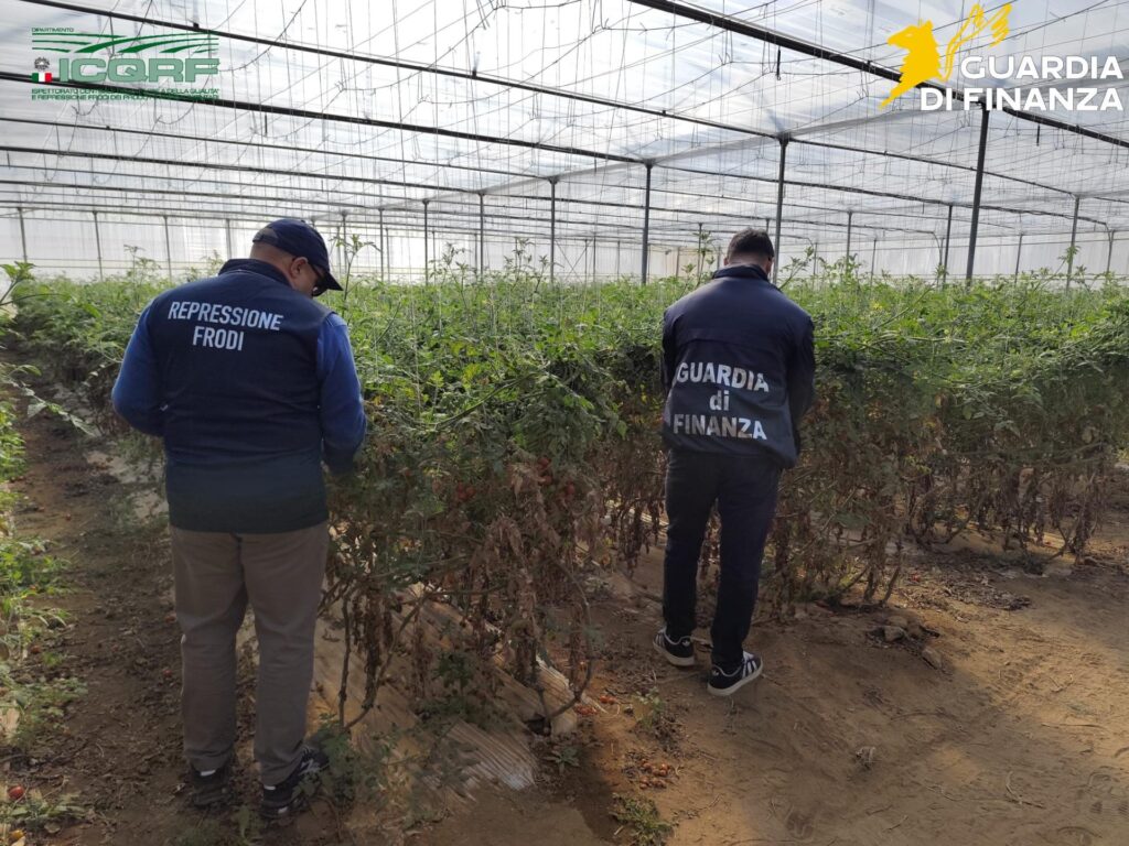 gdf controlli serre