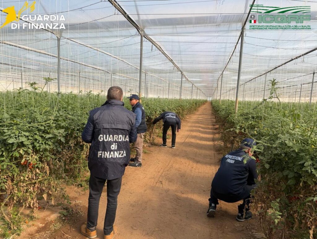gdf controlli serre