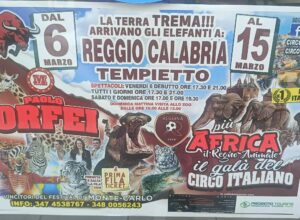 logo della reggina sulla locandina di uno spettacolo circense