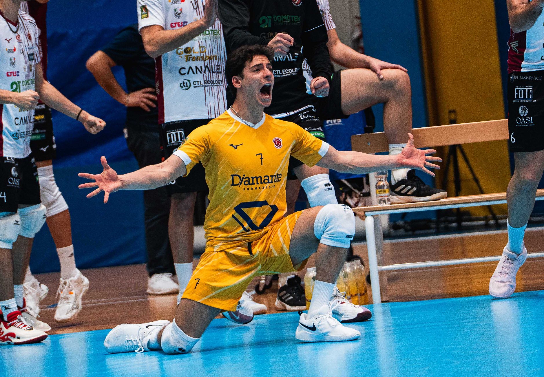 lopetrone domotek volley