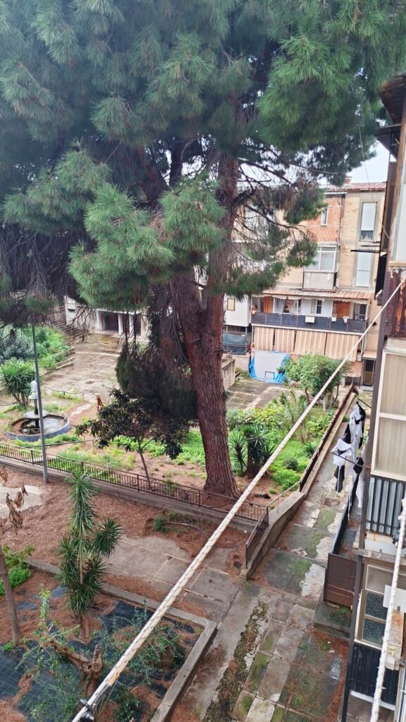 rami pericolanti archi