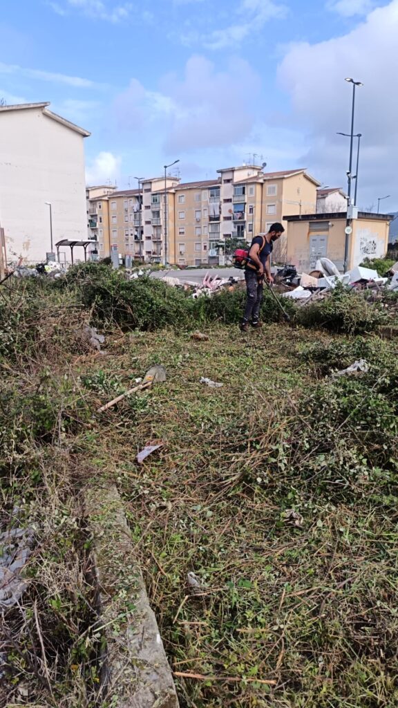 residenti arghillà puliscono piazze da erbacce e rifiuti