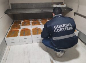 sequestro pesce