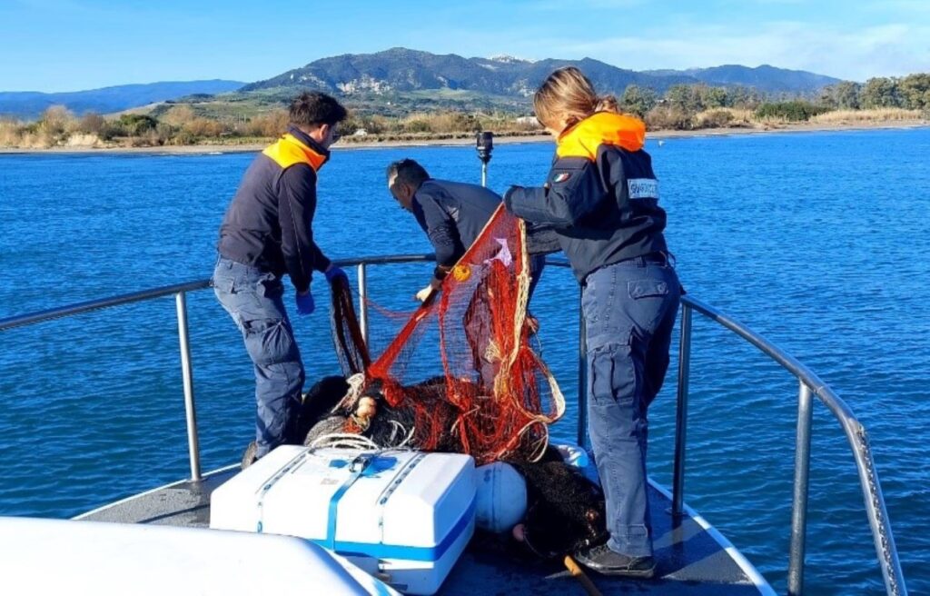 sequestro pesce