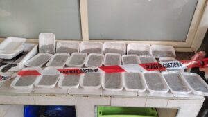 sequestro pesce