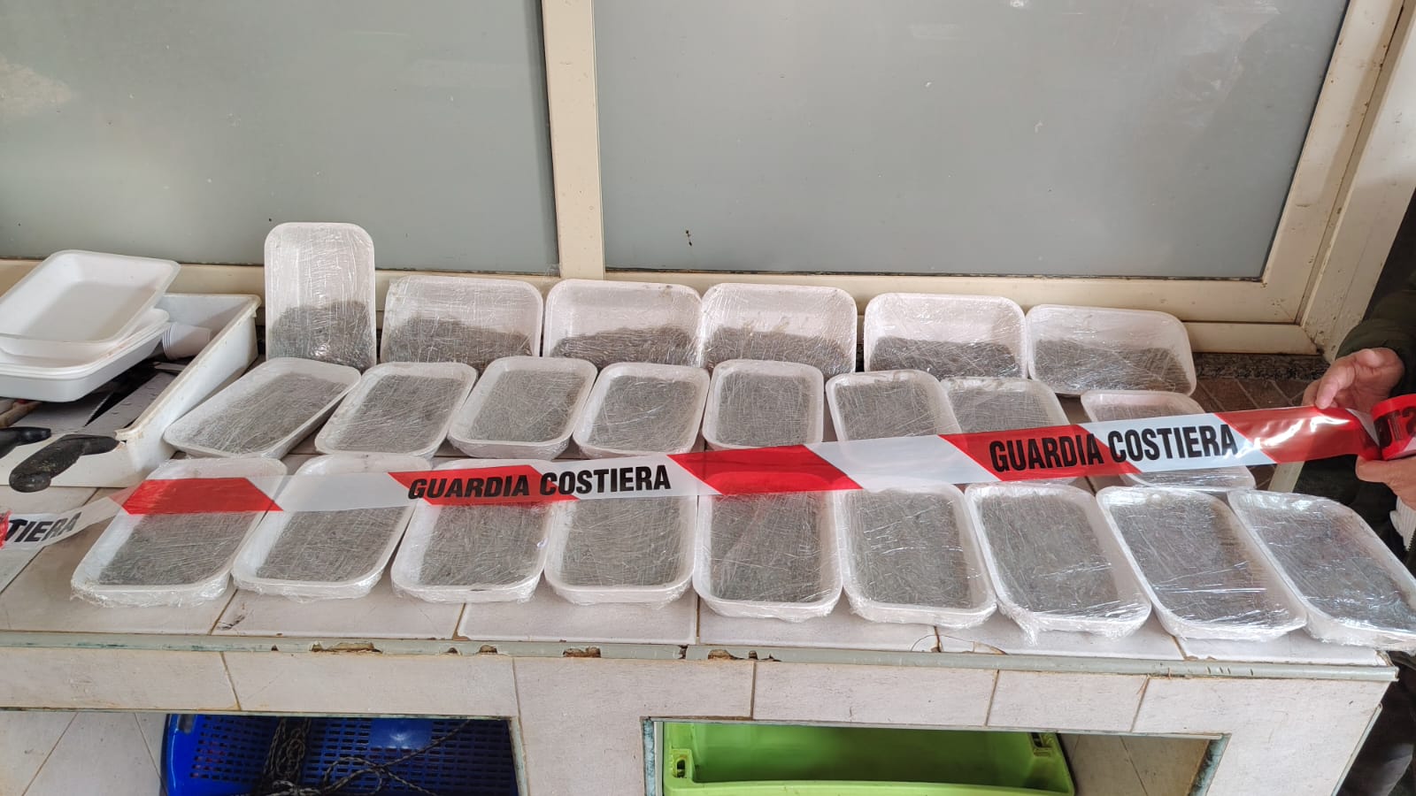 sequestro pesce