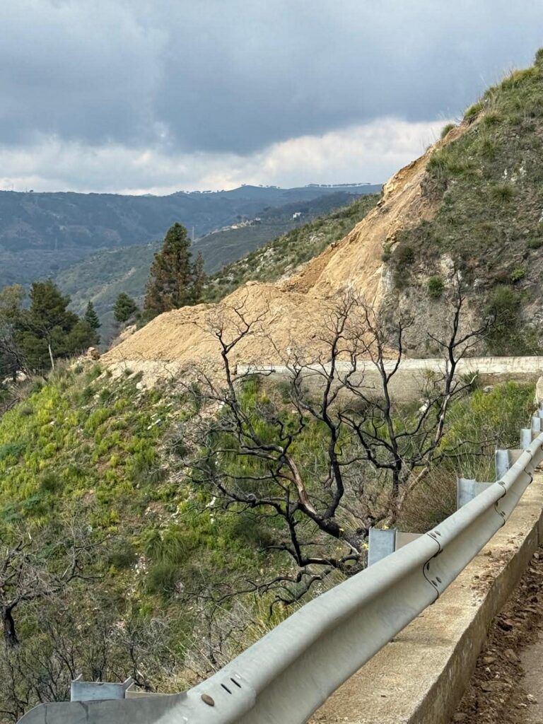 strada santa venere armo