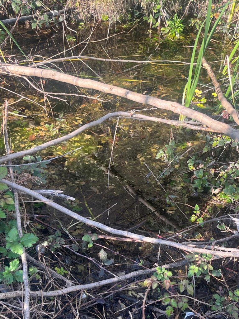 strade colabrodo e perdite d'acqua a curduma e paterriti