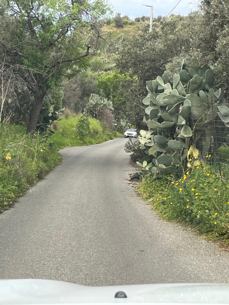 strade colabrodo e perdite d'acqua a curduma e paterriti