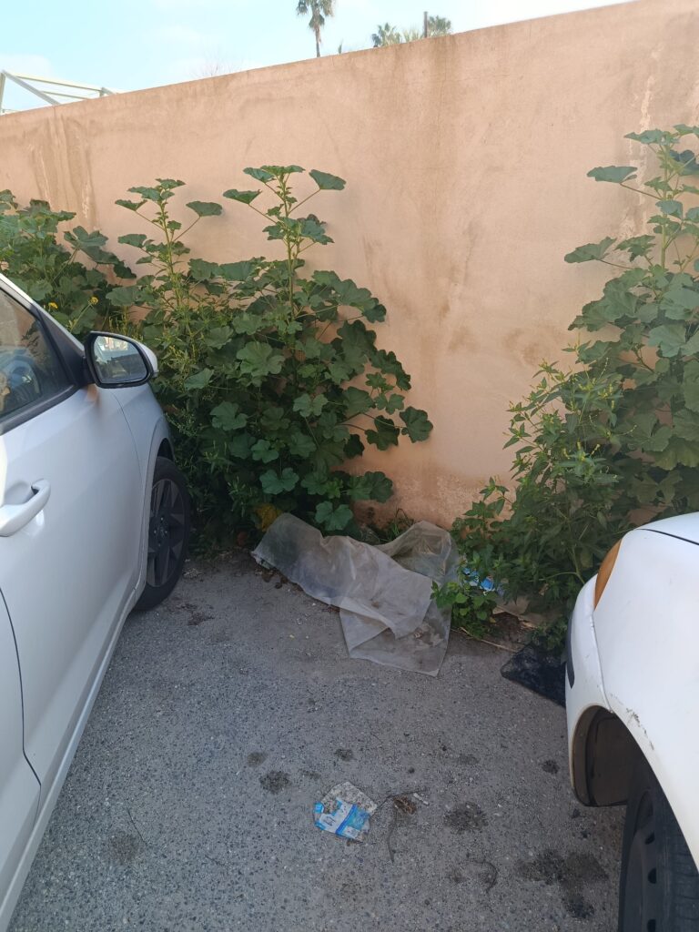 via Pisa