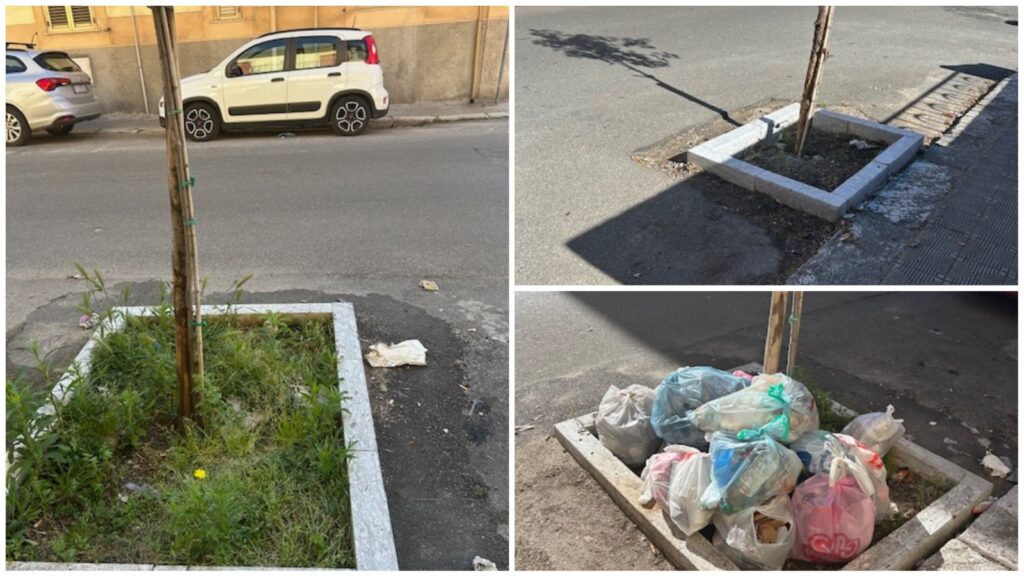 Aiuole via Enotria, via Esperia