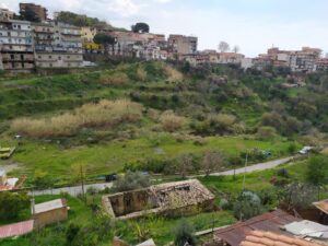 Bufano Mosorrofa