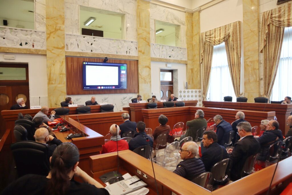 Convegno Mitigazione del rischio sismico