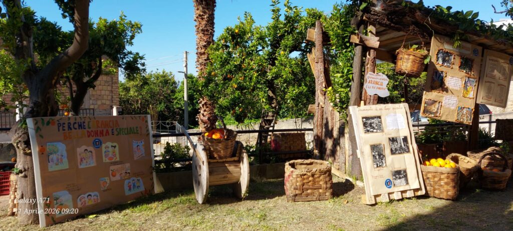 Dalla pianta al bicchiere sagra arancia belladonna