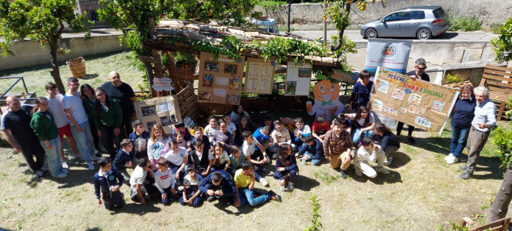 Dalla pianta al bicchiere sagra arancia belladonna