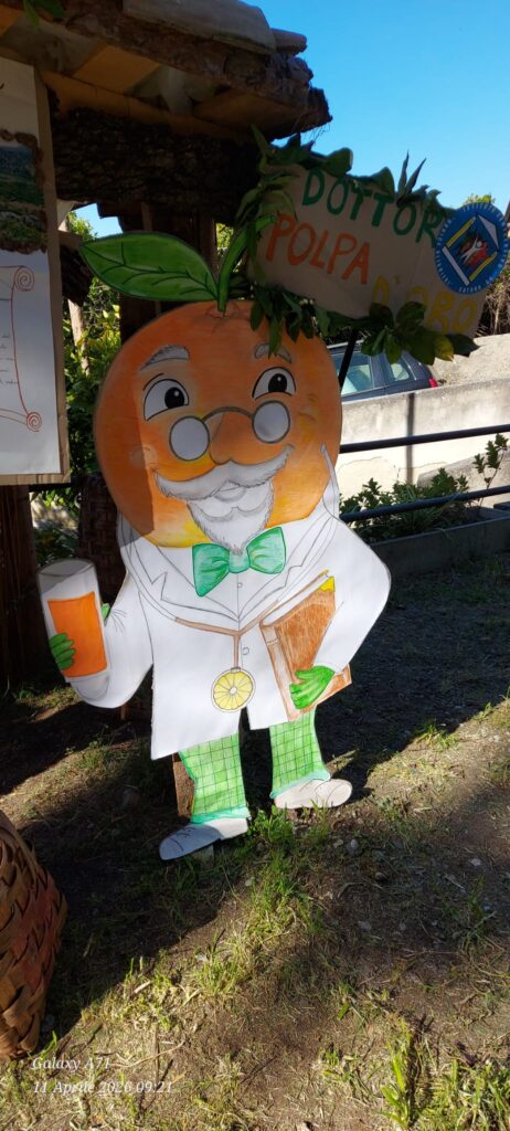 Dalla pianta al bicchiere sagra arancia belladonna