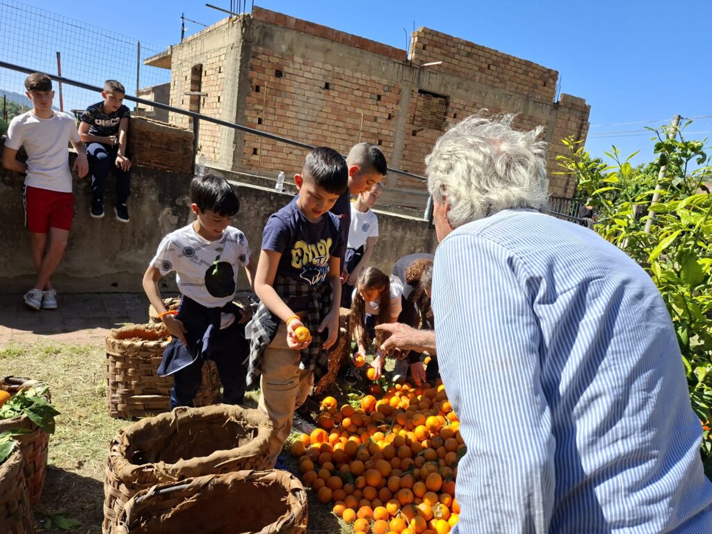 Dalla pianta al bicchiere sagra arancia belladonna