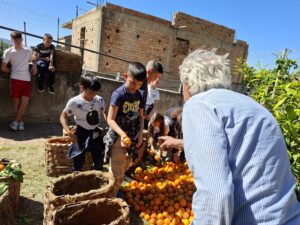 Dalla pianta al bicchiere sagra arancia belladonna