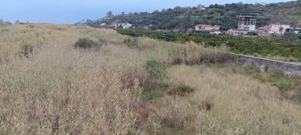 Fiumara del Gallico