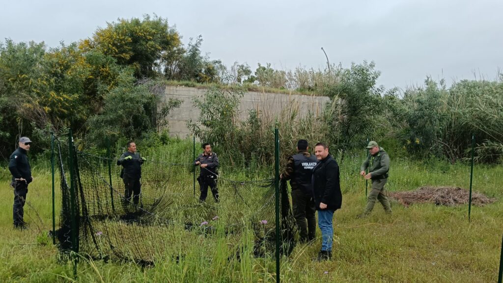 Il montaggio della gabbia di cattura