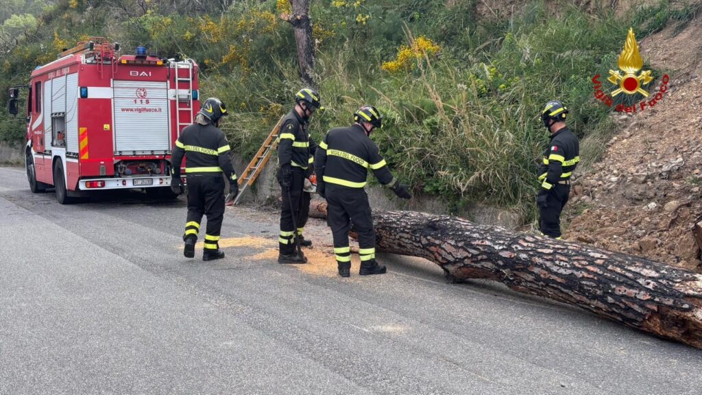 Interventi Vigili Fuoco Messina