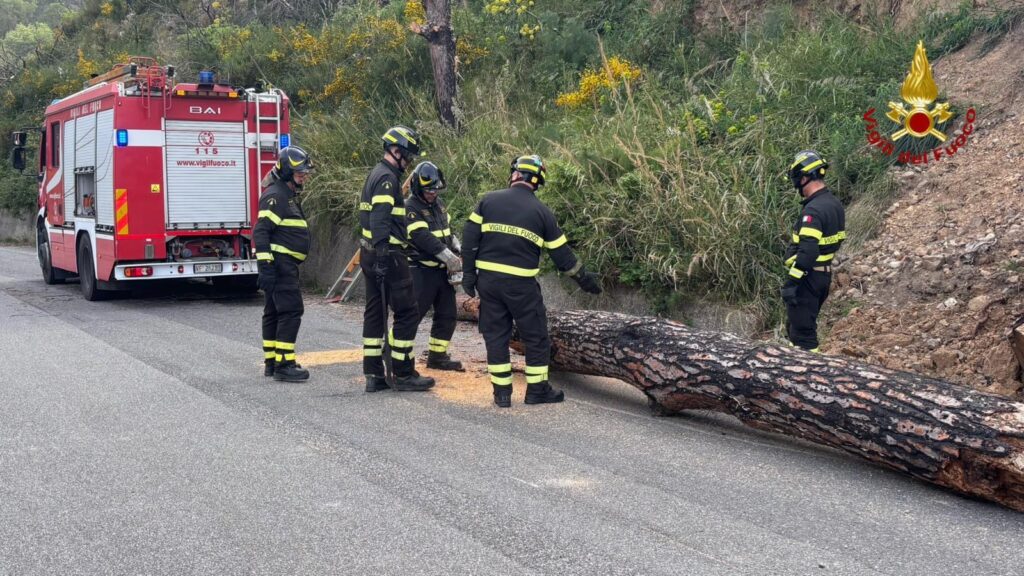 Interventi Vigili Fuoco Messina